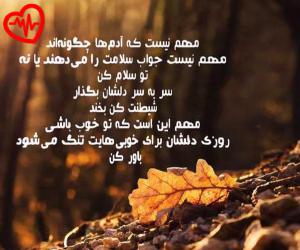 کاور آهنگ جون دلم تویی جون دلم نرو که رفتنت از هایده به همراه متن ترانه اثر هایده