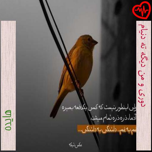 آهنگ دوری و من دیگه ته دنیام از هایده به همراه متن ترانه