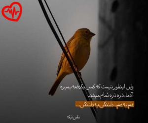 کاور آهنگ دوری و من دیگه ته دنیام از هایده به همراه متن ترانه اثر هایده