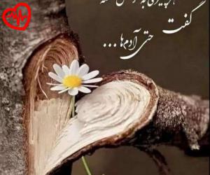 کاور آهنگ غریبه نشو با من بیا باز بره یادم همه دلتنگیا از هایده به همراه متن ترانه اثر هایده