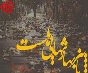 دانلود آهنگ آهنگ مثل باد سرد پاییز غم لعنتی به من زد از رضا پارسا به همراه متن ترانه - کاور اصلی