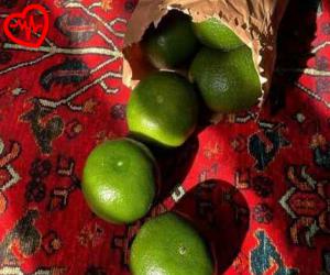 دانلود آهنگ آهنگ غرورمو ببخش حضورمو ببخش از گوگوش به همراه متن ترانه
