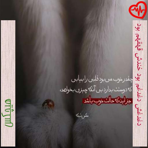 آهنگ دغدغش دغدغم بود خندش قهقهم بود از هیچکس به همراه متن ترانه آهنگ دغدغش دغدغم بود خندش قهقهم بود از هیچکس به همراه متن ترانه