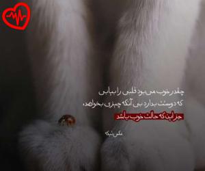 دانلود آهنگ آهنگ دغدغش دغدغم بود خندش قهقهم بود از هیچکس به همراه متن ترانه