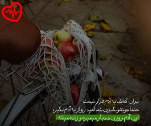 دانلود آهنگ آهنگ فکر کردی تورو زنده دوس دارن ریمیکس از هیچکس به همراه متن ترانه