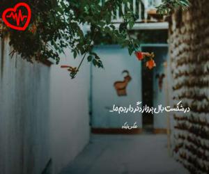 دانلود آهنگ آهنگ  ریمیکس رپ آرتا و خلسه و بهزاد لیتو و پوتک و پیشرو های کلاب از Hichkas X Pishro X Putak X Arta X Khalse X Leito X Narek به همراه متن ترانه - کاور اصلی