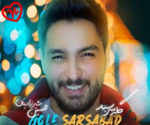دانلود آهنگ آهنگ گله سرسبد از حسین شیرزادیان به همراه متن ترانه - کاور اصلی