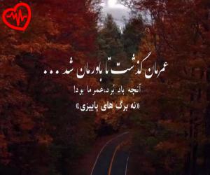 کاور آهنگ ابراهیم هاشمیان از دولاندیم دونیانی گزدیم هریانی به همراه متن ترانه اثر دولاندیم دونیانی گزدیم هریانی