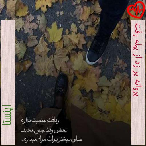 آهنگ پروانه پر زد از پیله رفت از اینستا به همراه متن ترانه آهنگ پروانه پر زد از پیله رفت از اینستا به همراه متن ترانه