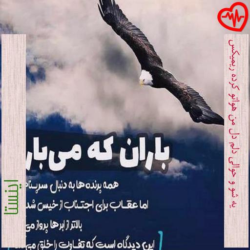 آهنگ یه شو و حوالی دلم دل من هواتو کرده ریمیکس از اینستا به همراه متن ترانه آهنگ یه شو و حوالی دلم دل من هواتو کرده ریمیکس از اینستا به همراه متن ترانه
