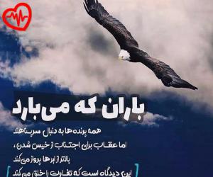 دانلود آهنگ آهنگ یه شو و حوالی دلم دل من هواتو کرده ریمیکس از اینستا به همراه متن ترانه - کاور اصلی