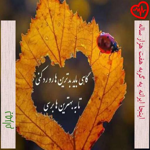 آهنگ اینجا ایرانه یه گربه هفت هزار ساله از بهرام به همراه متن ترانه آهنگ اینجا ایرانه یه گربه هفت هزار ساله از بهرام به همراه متن ترانه
