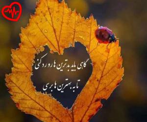 دانلود آهنگ آهنگ اینجا ایرانه یه گربه هفت هزار ساله از بهرام به همراه متن ترانه - کاور اصلی