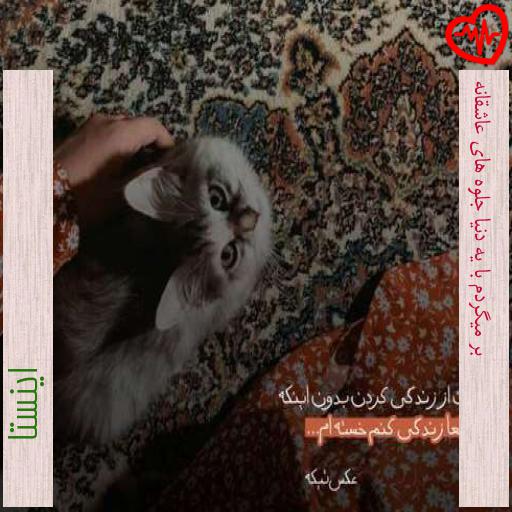 آهنگ بر میگردم با یه دنیا جلوه های عاشقانه از اینستا به همراه متن ترانه آهنگ بر میگردم با یه دنیا جلوه های عاشقانه از اینستا به همراه متن ترانه