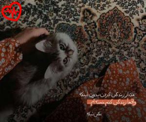 دانلود آهنگ آهنگ بر میگردم با یه دنیا جلوه های عاشقانه از اینستا به همراه متن ترانه - کاور اصلی
