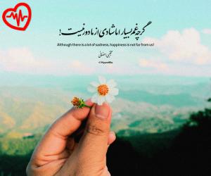 دانلود آهنگ آهنگ دلم تنگه برا کی فقط برا تو از اینستا به همراه متن ترانه - کاور اصلی