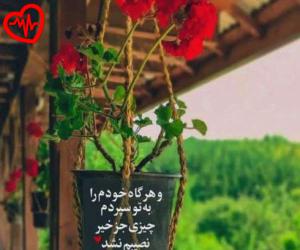 کاور آهنگ دخترا گل بچینید بوی نکنید از اینستا به همراه متن ترانه اثر اینستا