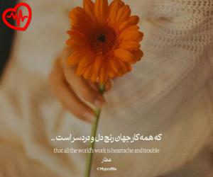 دانلود آهنگ آهنگ انقده با من بد کردی سر هر چیزی لج کردی از اینستا به همراه متن ترانه - کاور اصلی