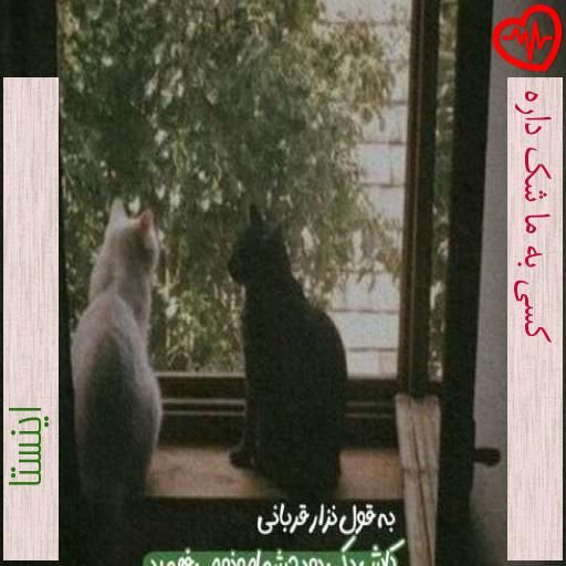 آهنگ کسی به ما شک داره از اینستا به همراه متن ترانه