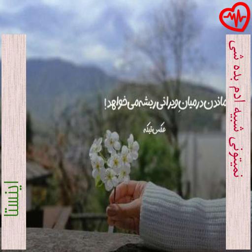 آهنگ نمیتونی شبیه ادم بده شی از اینستا به همراه متن ترانه آهنگ نمیتونی شبیه ادم بده شی از اینستا به همراه متن ترانه