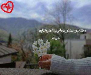 دانلود آهنگ آهنگ نمیتونی شبیه ادم بده شی از اینستا به همراه متن ترانه - کاور اصلی