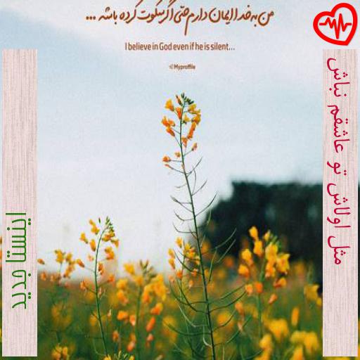آهنگ مثل اولاش تو عاشقم نباش از اینستا جدید به همراه متن ترانه آهنگ مثل اولاش تو عاشقم نباش از اینستا جدید به همراه متن ترانه