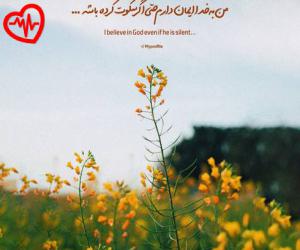 دانلود آهنگ آهنگ مثل اولاش تو عاشقم نباش از اینستا جدید به همراه متن ترانه - کاور اصلی