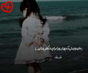 کاور آهنگ عکس گرگ چسبوندم به دیوار اتاقم از آیسان اسلامی به همراه متن ترانه اثر آیسان اسلامی