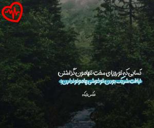 کاور آهنگ  ممد نبودی ببینی از Koveytipoor به همراه متن ترانه اثر Koveytipoor