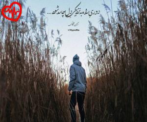 دانلود آهنگ آهنگ گوتی د ما تو مه نمیرم یاری از لری به همراه متن ترانه - کاور اصلی