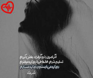 دانلود آهنگ آهنگ  توی رابطه با تو بدون بازنده منم از Macan Band به همراه متن ترانه - کاور اصلی