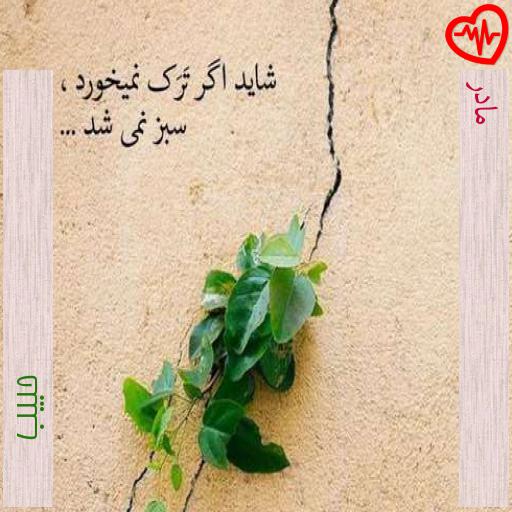 آهنگ مادر از حبیب به همراه متن ترانه آهنگ مادر از حبیب به همراه متن ترانه