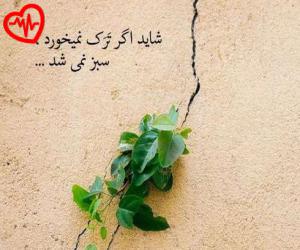 دانلود آهنگ آهنگ مادر از حبیب به همراه متن ترانه - کاور اصلی