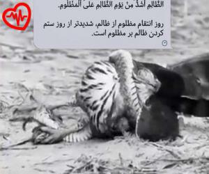 دانلود آهنگ آهنگ با صدام میام همه جا تورو مینویسم از مهستی به همراه متن ترانه - کاور اصلی