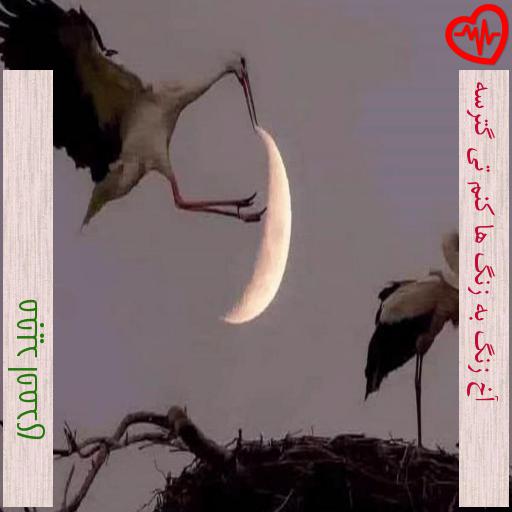 آهنگ آخ زنگ به زنگ ها کنم تی گترسه از مجید احمدی به همراه متن ترانه آهنگ آخ زنگ به زنگ ها کنم تی گترسه از مجید احمدی به همراه متن ترانه