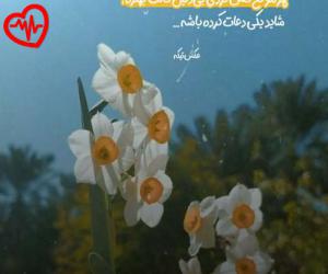 دانلود آهنگ آهنگ ممل فشفشه از ایرج به همراه متن ترانه
