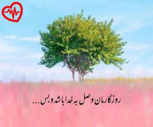 کاور آهنگ من در پی تو تو پی من وای چه حالی از حمیرا هوش مصنوعی به همراه متن ترانه اثر حمیرا هوش مصنوعی