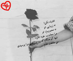 دانلود آهنگ آهنگ مارو اینقدر نترسون نه تن دریدمو نلرزون اه با ریمیکس از حامد فرد به همراه متن ترانه - کاور اصلی