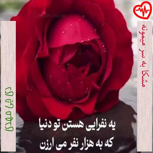 آهنگ مشکا به سر میمونه از دی جی مهدی به همراه متن ترانه
