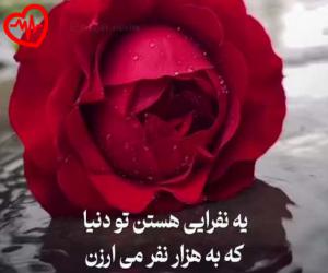 دانلود آهنگ آهنگ مشکا به سر میمونه از دی جی مهدی به همراه متن ترانه - کاور اصلی