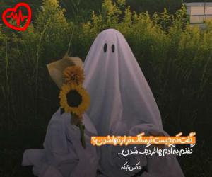 دانلود آهنگ آهنگ  تو هرچی بخوای اوکیه خوشگله چه مدلت از Masoud Sadeghloo به همراه متن ترانه - کاور اصلی