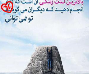 کاور آهنگ تخم سگ 2 از متین دو حنجره به همراه متن ترانه اثر متین دو حنجره