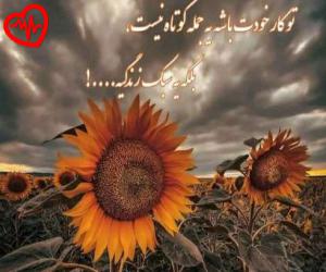 کاور آهنگ دل تو سر به هوا دل من خاک به سر از مهراج به همراه متن ترانه اثر مهراج