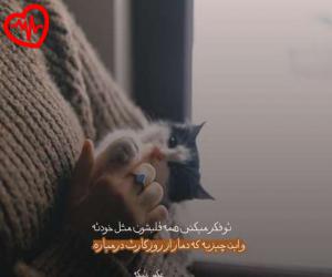 کاور آهنگ  مشکی The Tearsmith از Meshki به همراه متن ترانه اثر Meshki