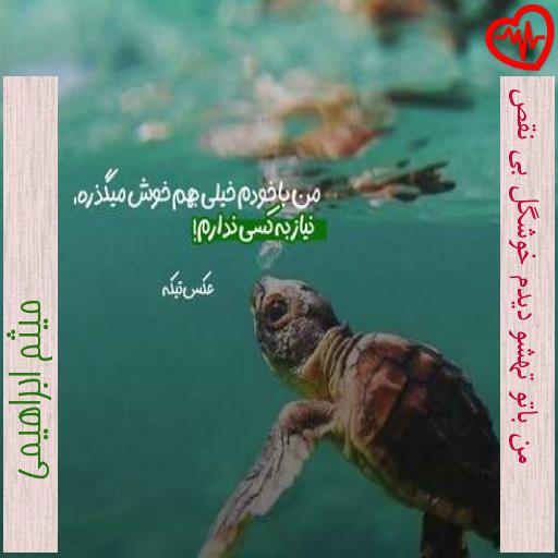 آهنگ من باتو تهشو دیدم خوشگل بی نقص از میثم ابراهیمی به همراه متن ترانه آهنگ من باتو تهشو دیدم خوشگل بی نقص از میثم ابراهیمی به همراه متن ترانه