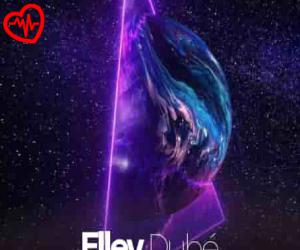کاور آهنگ Elley Duhé از Middle Of The Night به همراه متن ترانه اثر Middle Of The Night