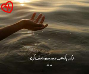 کاور آهنگ  میخوری حرص تو مث سگ فنام میگن بده گنگ از Mikhori Hers To به همراه متن ترانه اثر Mikhori Hers To