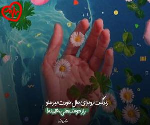 دانلود آهنگ آهنگ کبوتر من بال و پر من از میلاد افضلی به همراه متن ترانه - کاور اصلی