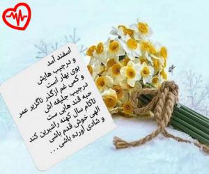 کاور آهنگ دنیای دردم مثل پروانه ها دورت میگردم از معین به همراه متن ترانه اثر معین