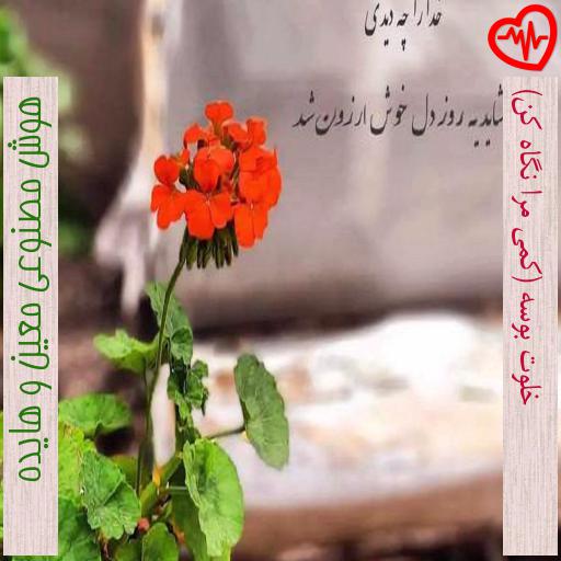آهنگ خلوت بوسه (کمی مرا نگاه کن) از هوش مصنوعی معین و هایده به همراه متن ترانه آهنگ خلوت بوسه (کمی مرا نگاه کن) از هوش مصنوعی معین و هایده به همراه متن ترانه